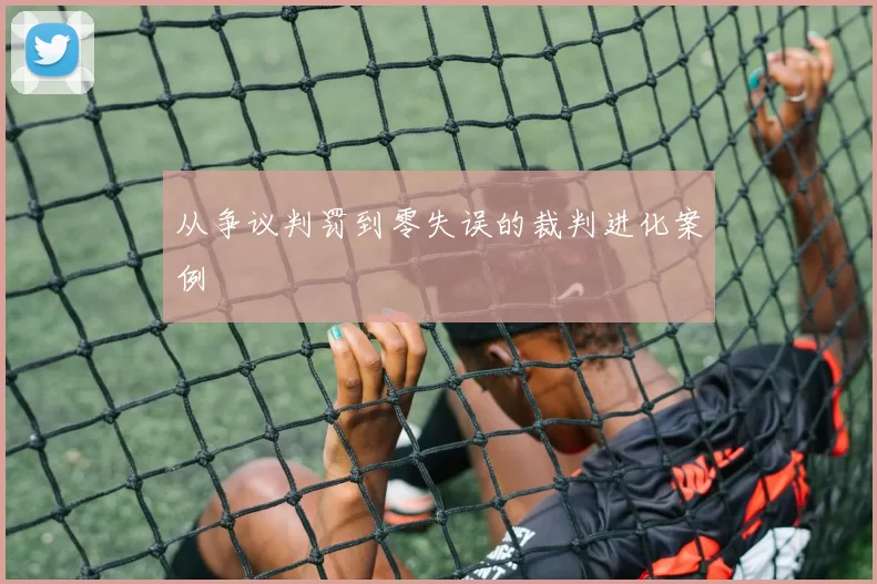 从争议判罚到零失误的裁判进化案例