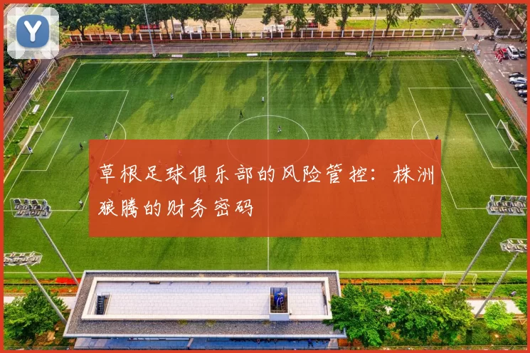 草根足球俱乐部的风险管控：株洲狼腾的财务密码