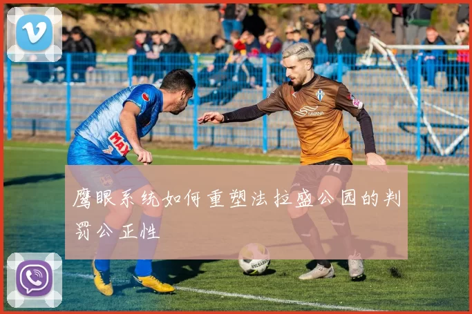 鹰眼系统如何重塑法拉盛公园的判罚公正性